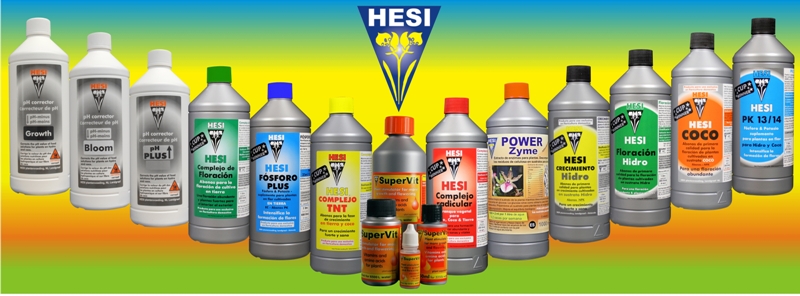 Hesi Uebersicht