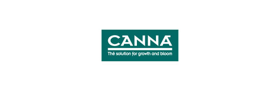 Canna