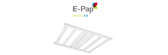 E-Pap
