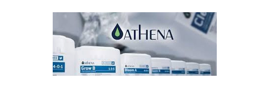 Athena