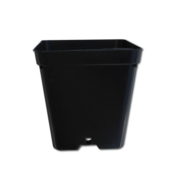 Anzuchttopf 7x7x8cm Robust!