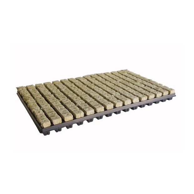 GRODAN Tray 25/150 Karton