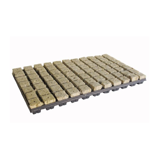 GRODAN Tray 36/77 Karton