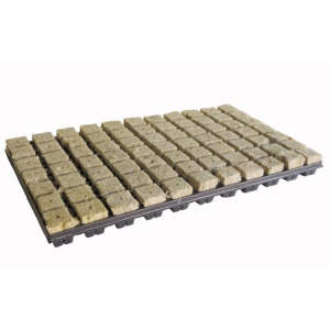 GRODAN Tray 36/77 Karton