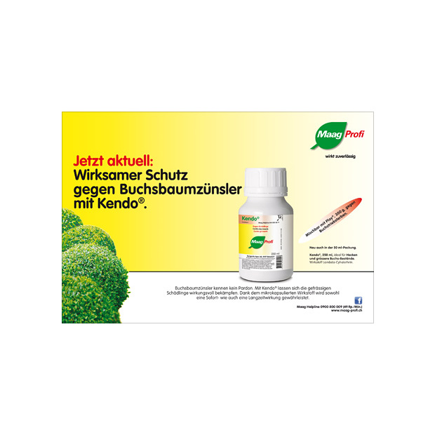 Kendo Profi 250ml Maag/Syngenta