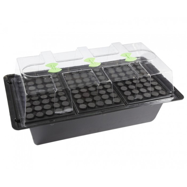 Zimmergewächshaus X-Stream Aeroponic-Propagator 120