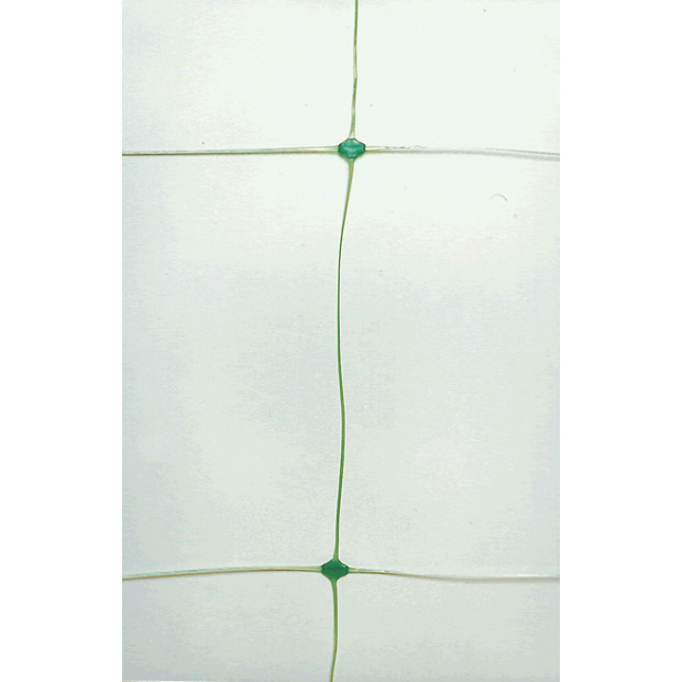 Ranknetz 2x10m
