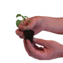 ROOTiT Rooting Gel 150ml