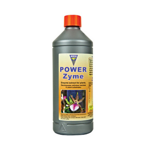 Hesi Powerzym 1 Liter