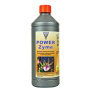 Hesi Powerzym 1 Liter