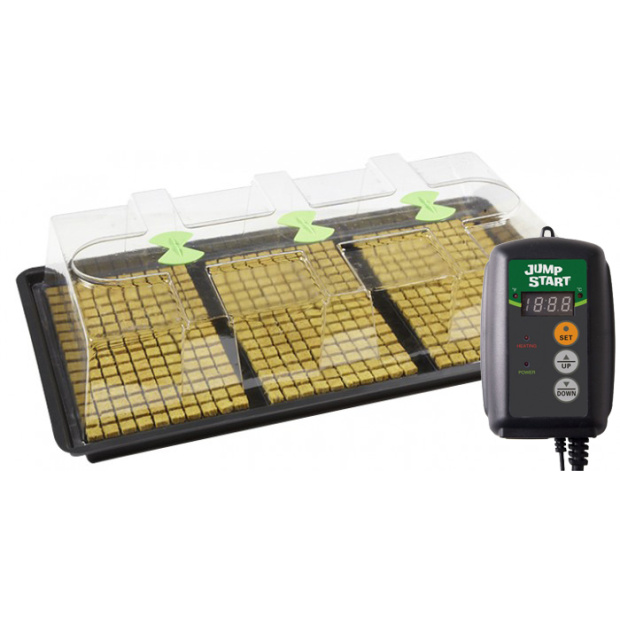 Zimmergewächshaus X-Stream Heat large MIT Thermostat