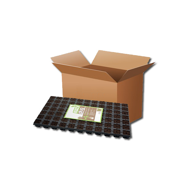 Eazy Plug 77 Tray, Karton mit 10 Trays