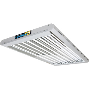 Lightwave T5 - LW 48-HO - 8 x 54 W