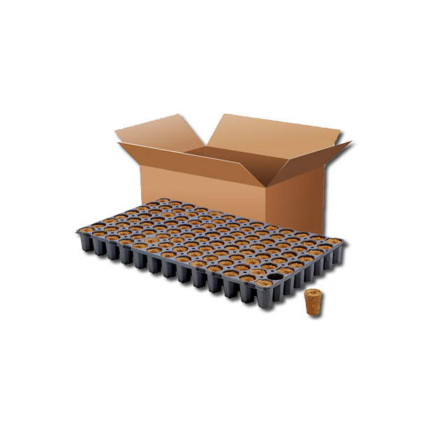 Eazy Plug CT104CR Tray, Karton mit 6 Trays