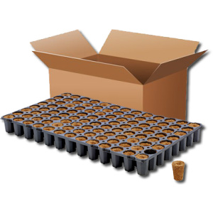 Eazy Plug CT104CR Tray, Karton mit 6 Trays