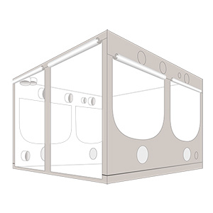 Homebox Ambient Q300+
