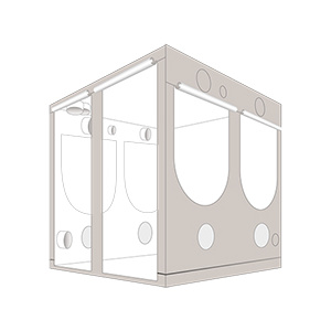 Homebox Ambient Q200+