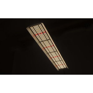hortiOne LED 600 220W