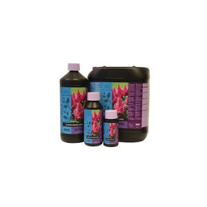 Bcuzz Blossom Builder 1 Liter