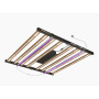 DIMLUX XPLORE SERIES NIR+UV ADD-ON 2x25W LED