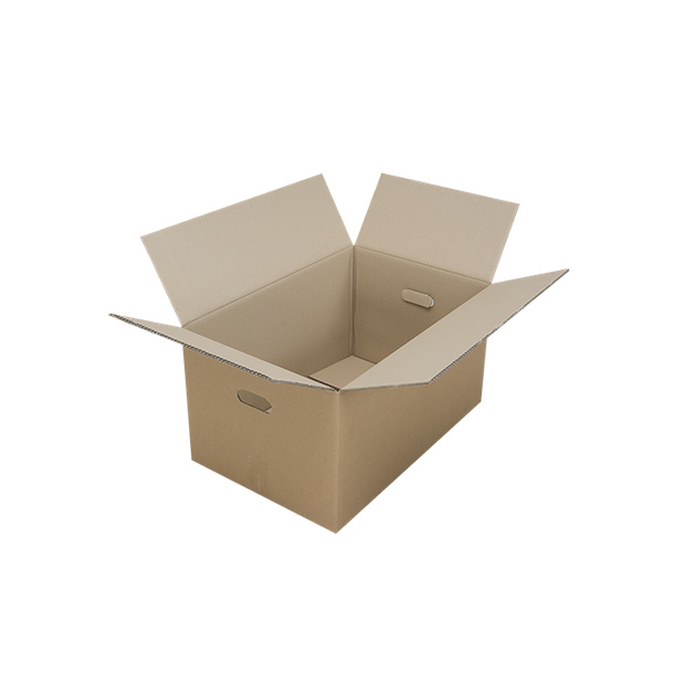 Kartonschachtel 59x40x31cm