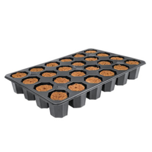 ROOTiT Anzuchtwürfel, torffrei, Tray mit 24 Stück