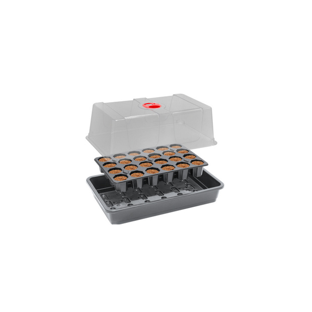 ROOTiT Anzucht-Set, inkl. 24er Tray Anzuchtwürfel + Gewächshaus