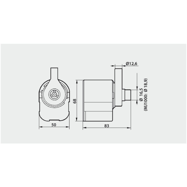 Maxi Jet Pumpe 1000 l/h
