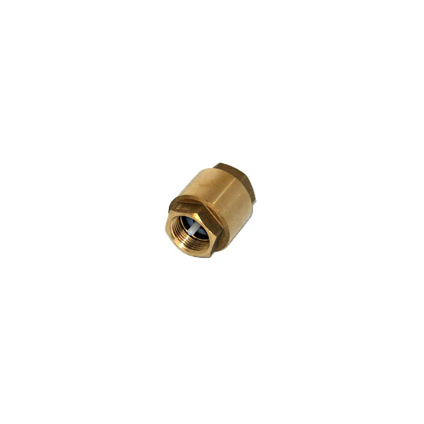 Rückschlagventil 2 x 1" IG