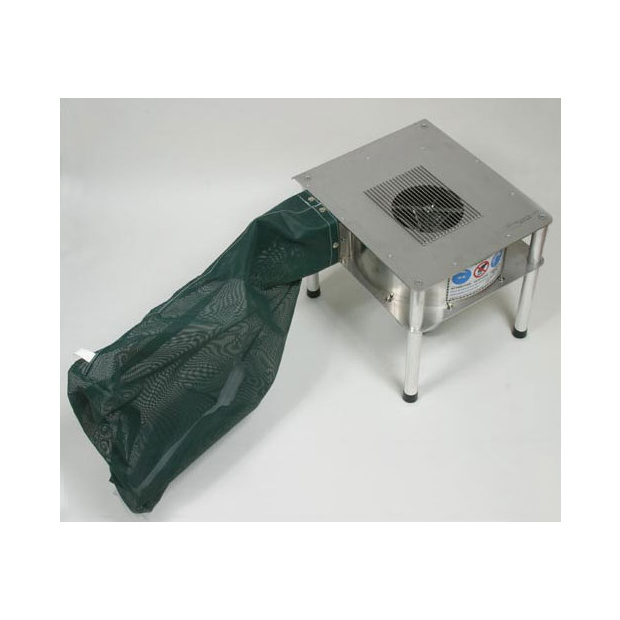 Strippers Big One